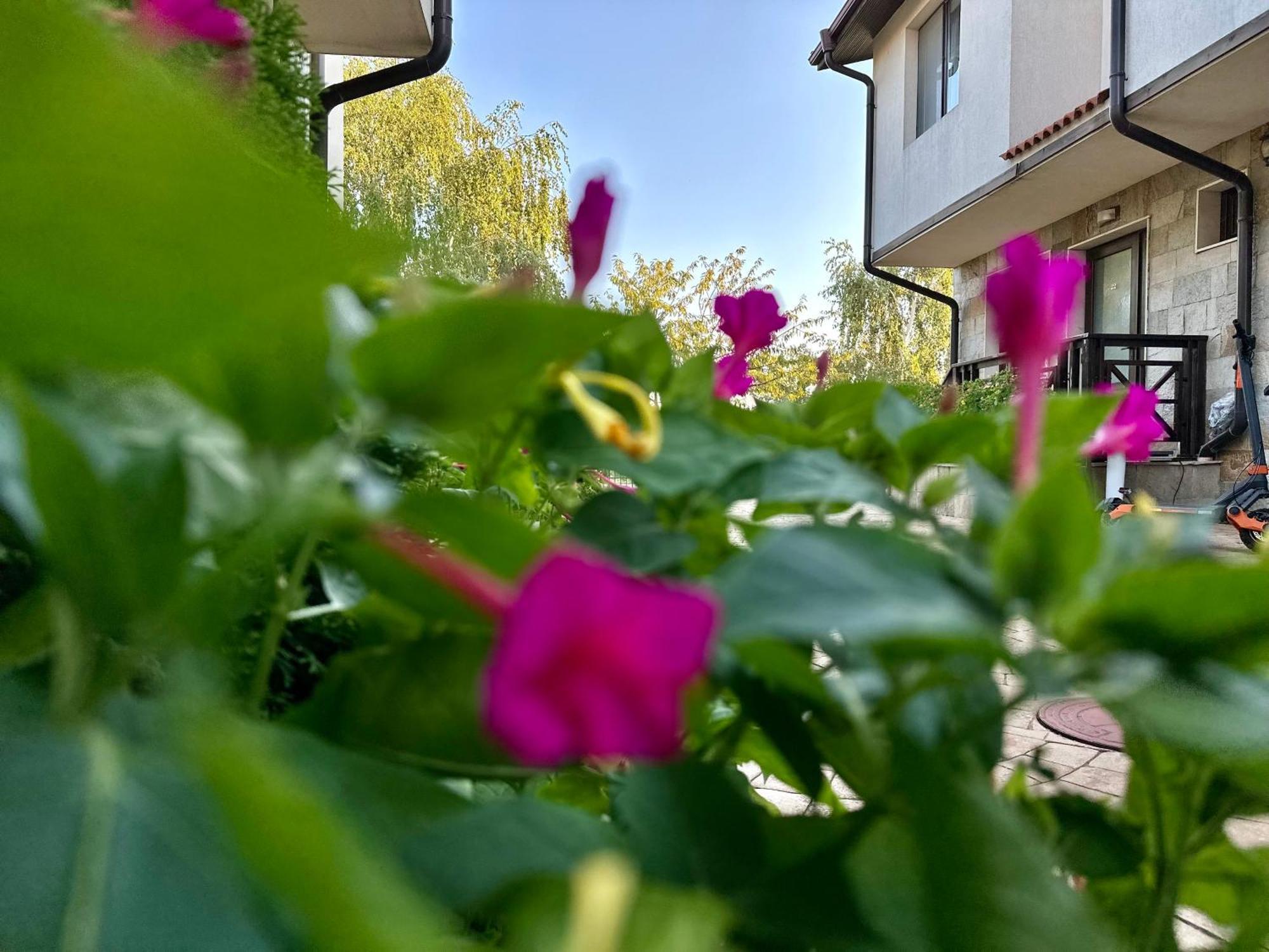 Menada Imperial Heights Villas ซันนีบีช ภายนอก รูปภาพ